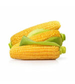 shop29-product-11-1